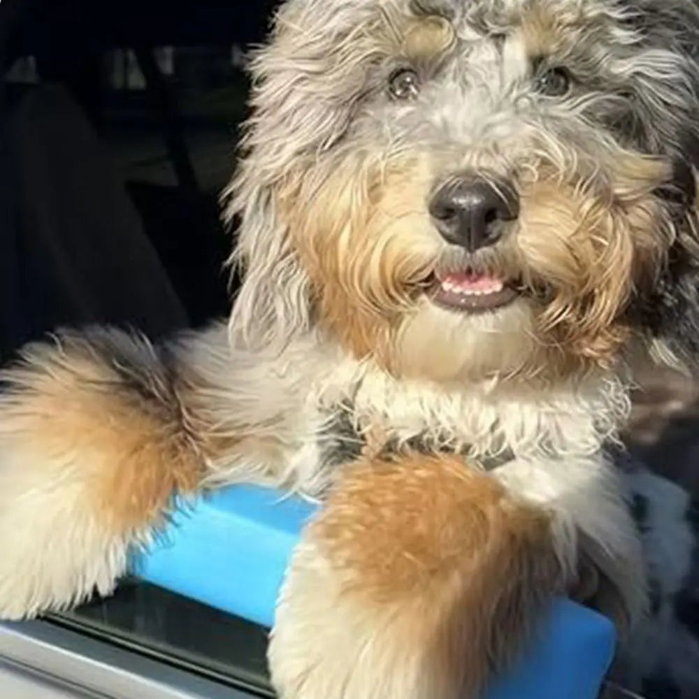 Portable Pet Car Chin Rest